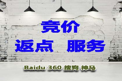 SEM推广公司案例：打造行业领军品牌